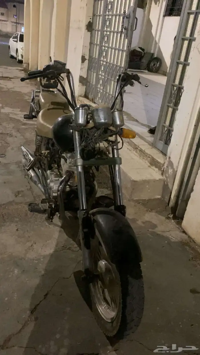 دباب هارلي 1