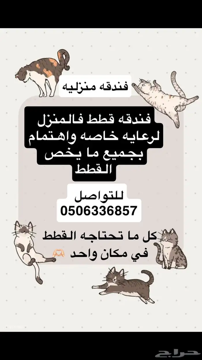 فندقه القطط 0