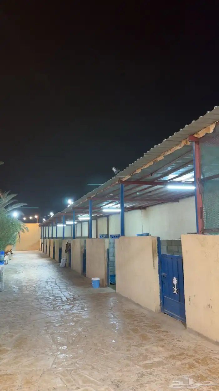 غرف خيل للإيواء 3