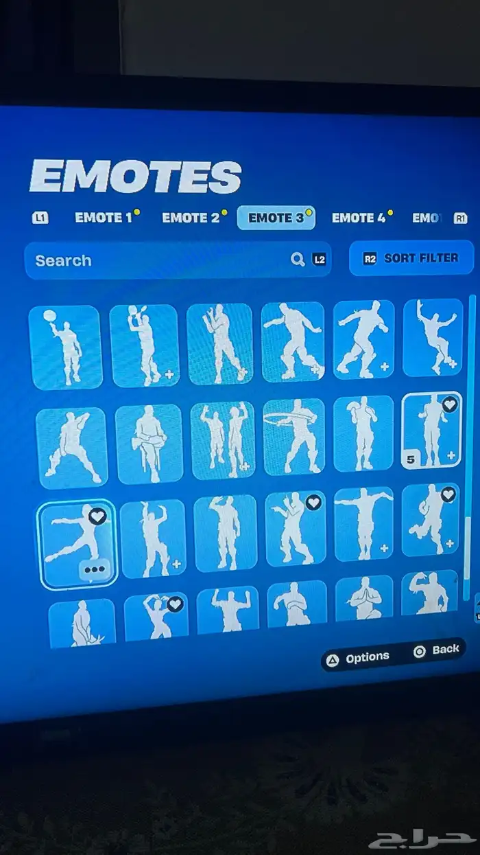 حساب فورت نايت 21