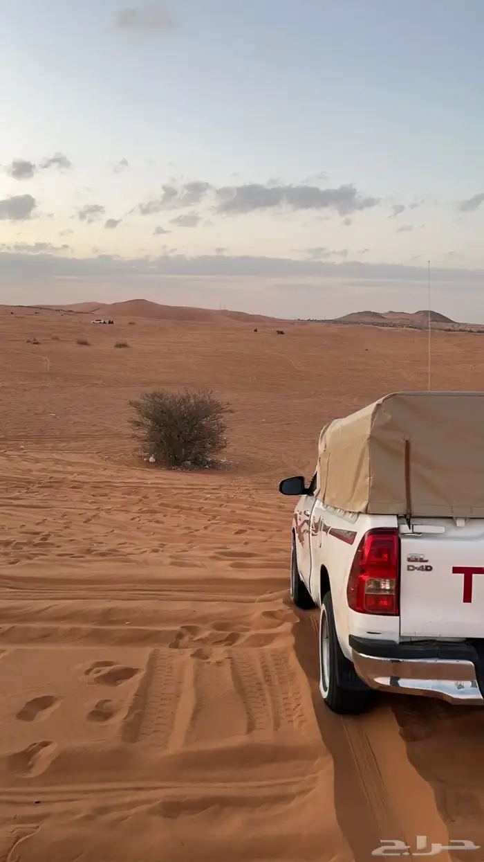 طالع اليومين ذي لمدينه 0