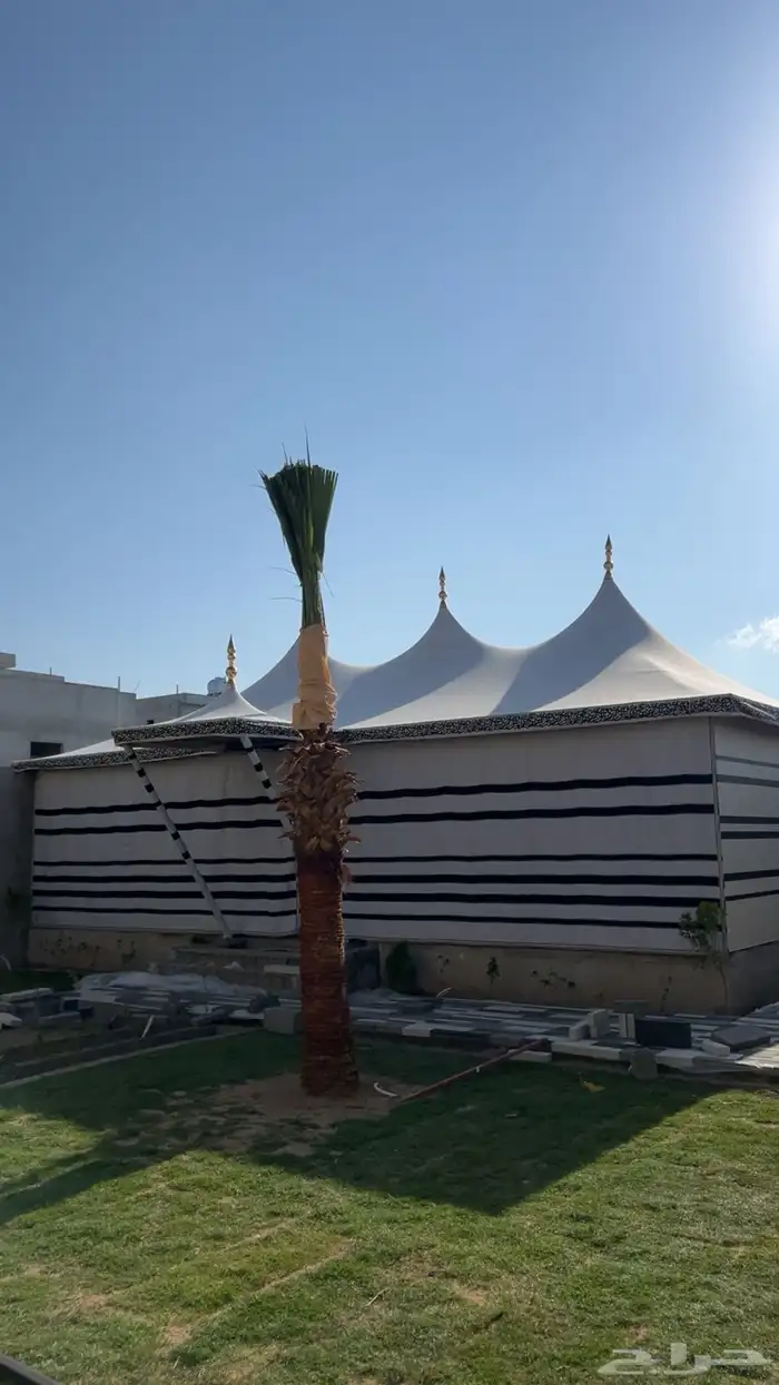 خيمة الصقور خيمة القبب 3