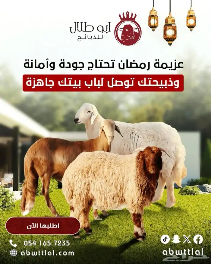 ابو طلال للذبائح 0