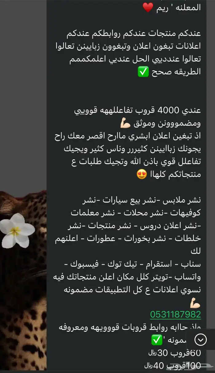 دعم ونشر جميع التواصل الاجتماعي   اعلن كل شي عندكم   حياكم 41
