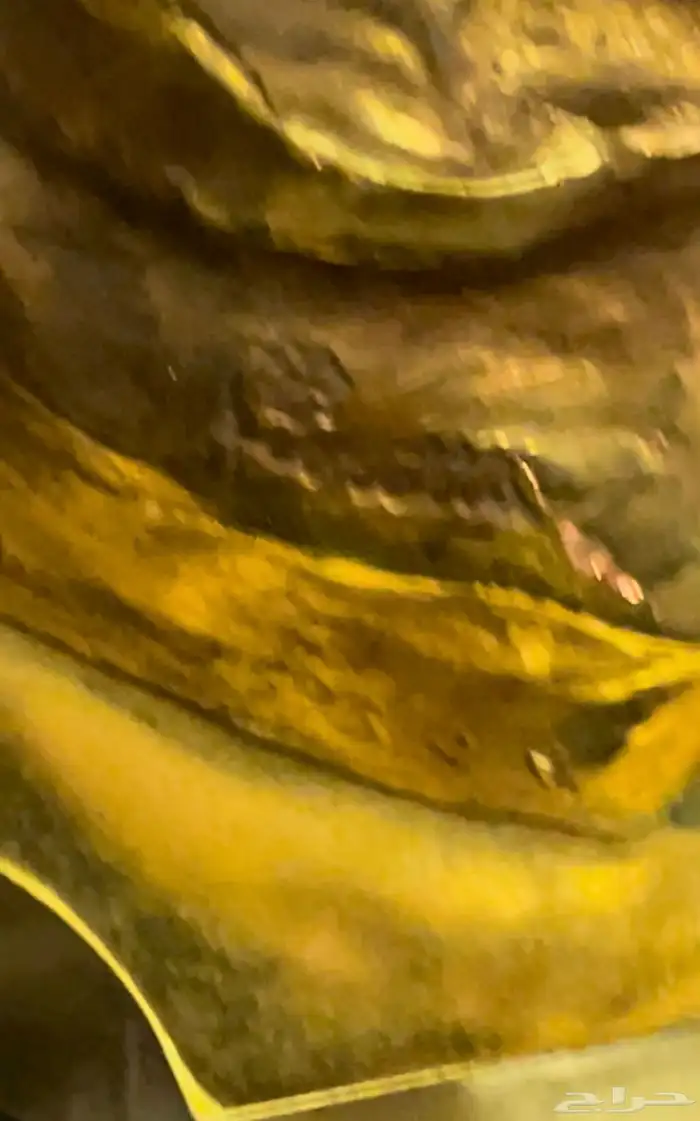 ثمثال أوروبي صقر نحاس 3