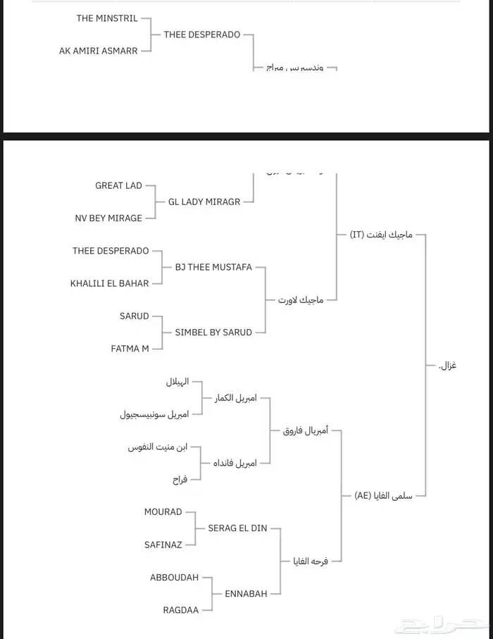 فحل واهو 4
