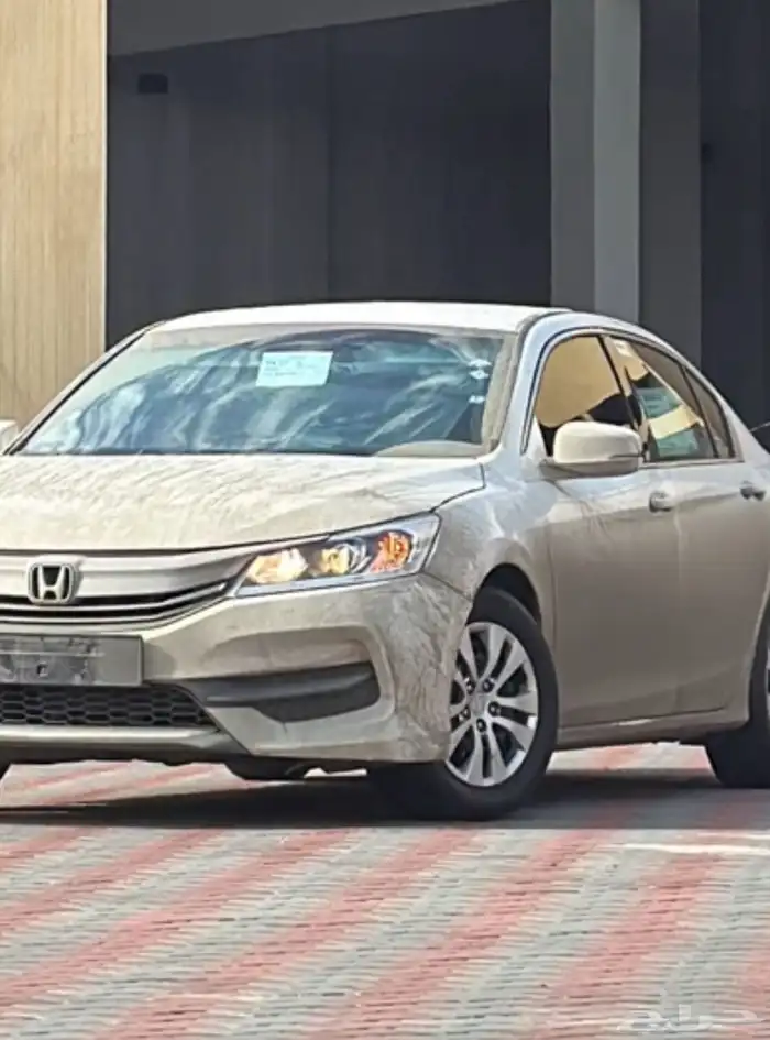 قشرة طبلون اكورد من 13 الى 17 0