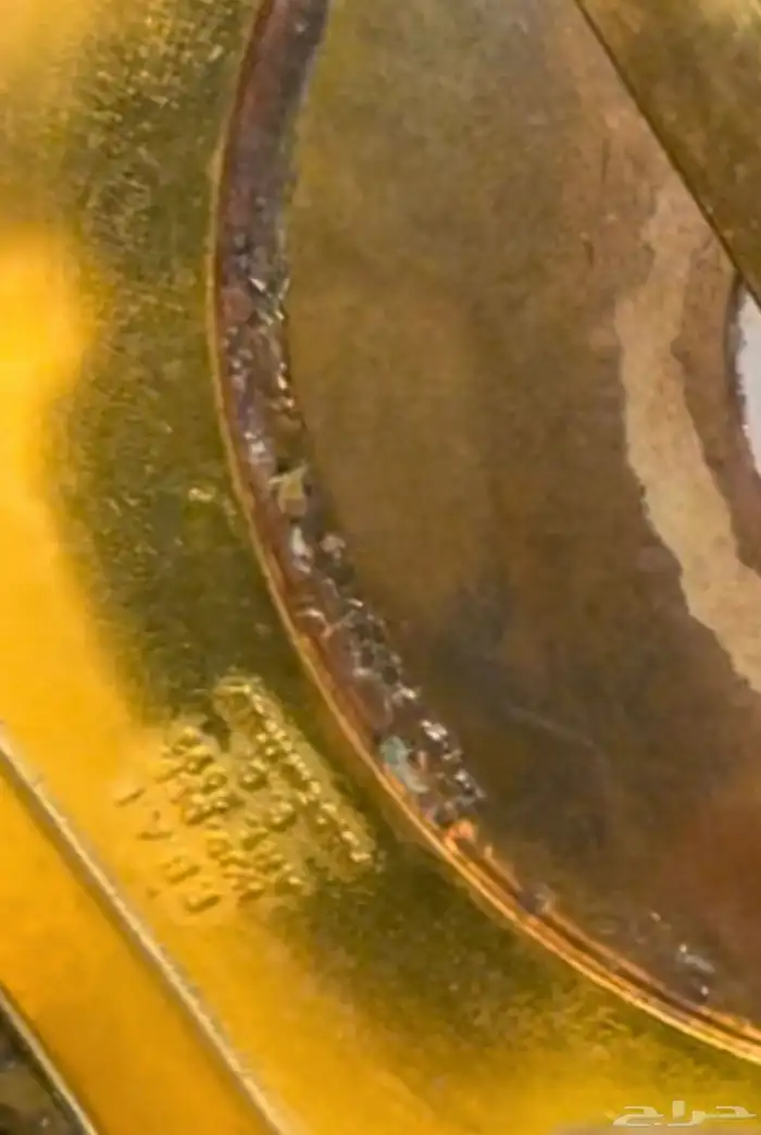 ثمثال أوروبي صقر نحاس 1