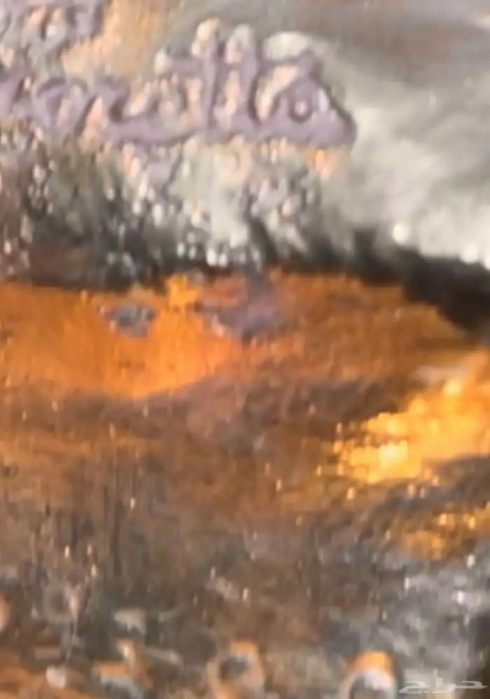 ثمثال أوروبي صقر نحاس 2