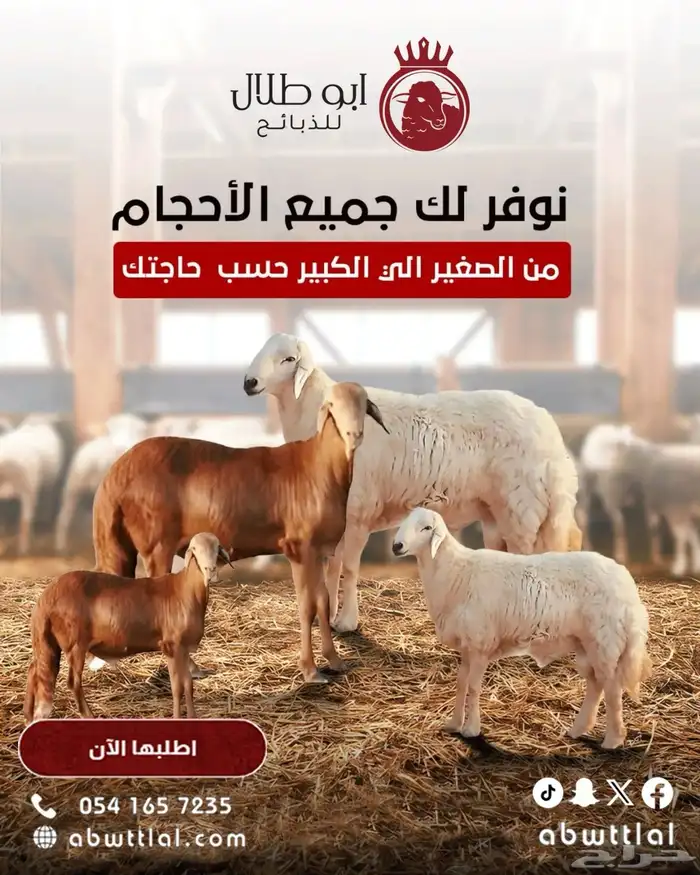 ابو طلال للذبائح 4
