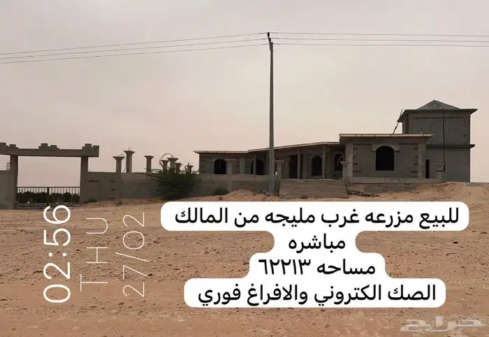 عرض مباشر ( للبيع مزرعة في مليجة ) 12
