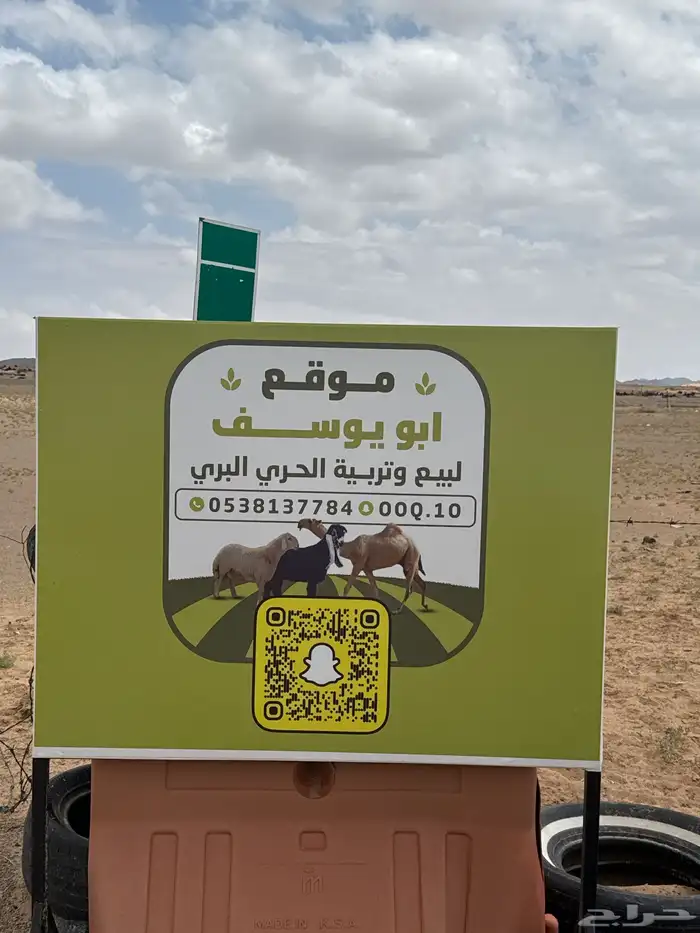 ذبايح حري بري للبيع عفيف وصلاخ موجود 0