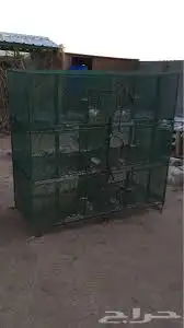 شبك حمام طيور دواجن للبيع شبوكك 43