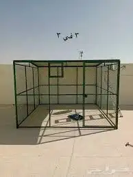 شبك حمام طيور دواجن للبيع شبوكك 19