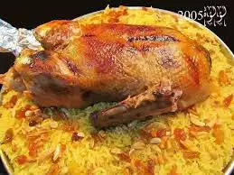 بط بكيني 0