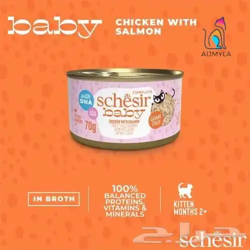 اكل رطب قطط طعام قطط مستلزمات قطط 1