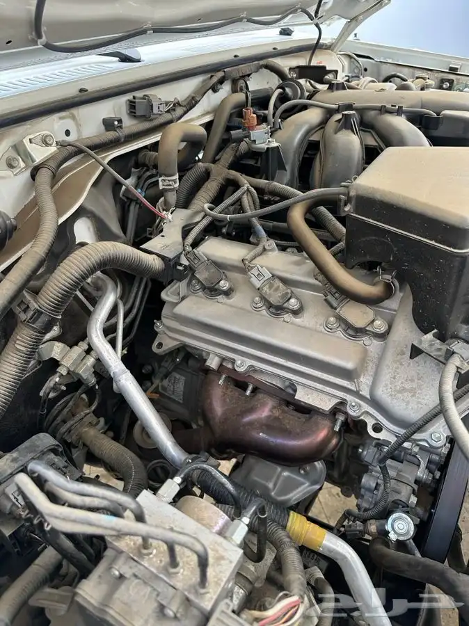 جيب ربع 2020 5