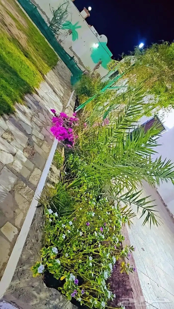 استراحة للإيجار 3