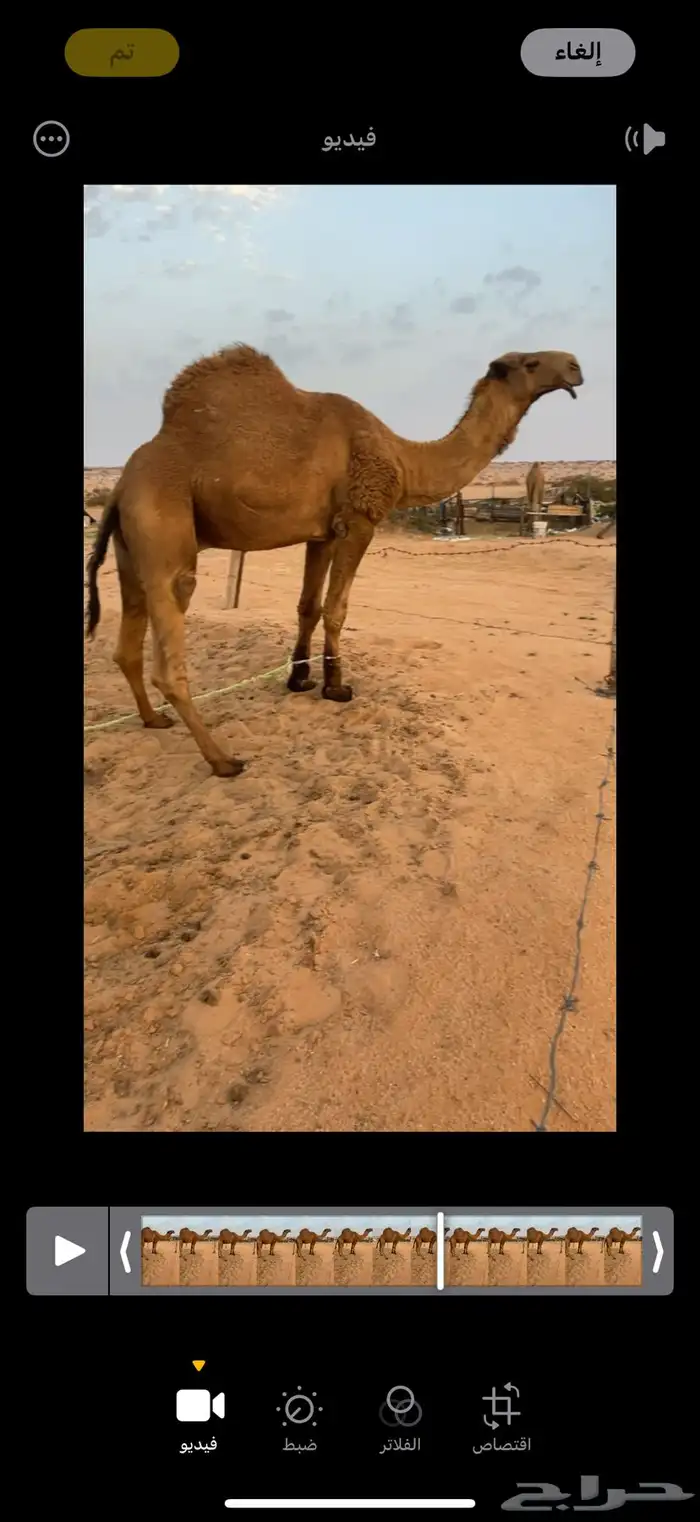 تم البيع 1