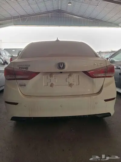 شانجان السفن فل 2024 1