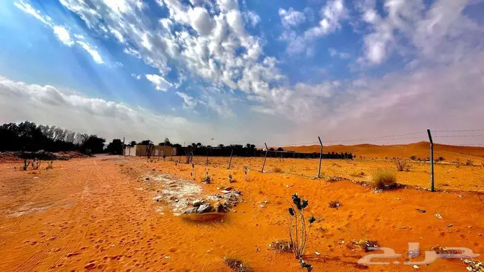 ارض ارض زراعيه في الحنية الشعلة 1 قرب المزاحمية 3
