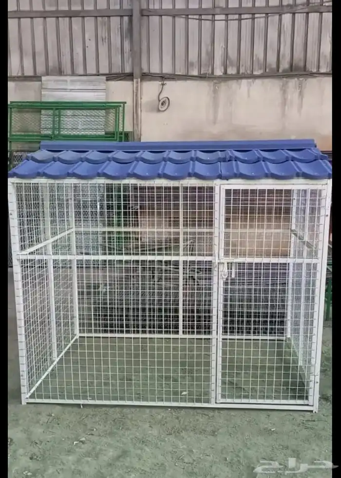 شبك حمام طيور دواجن للبيع شبوكك 13