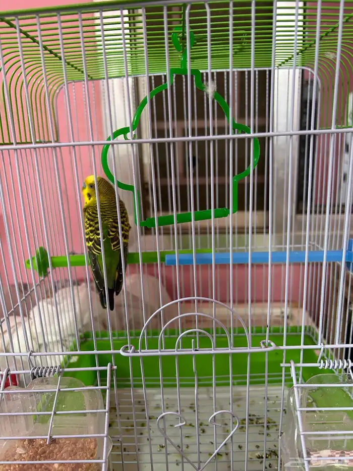 طاولات 4
