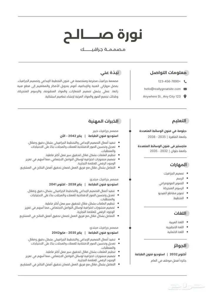 سيرة ذاتية احترافية 13