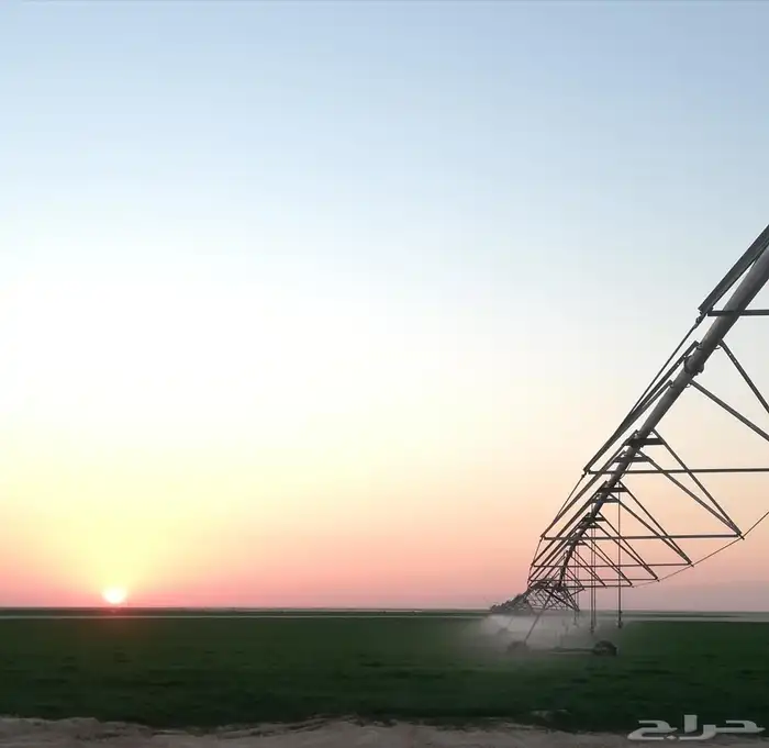 يحي المعلمي تقاطع الستين 12