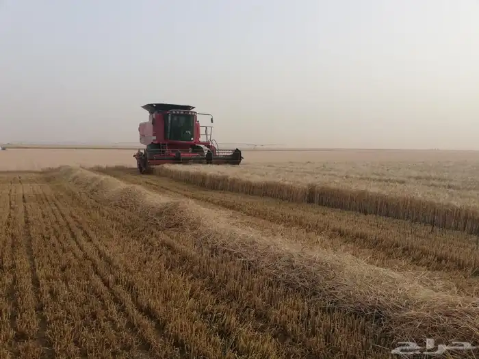 يحي المعلمي تقاطع الستين 8