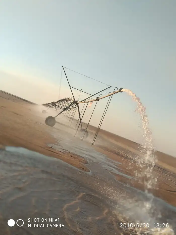 يحي المعلمي تقاطع الستين 35