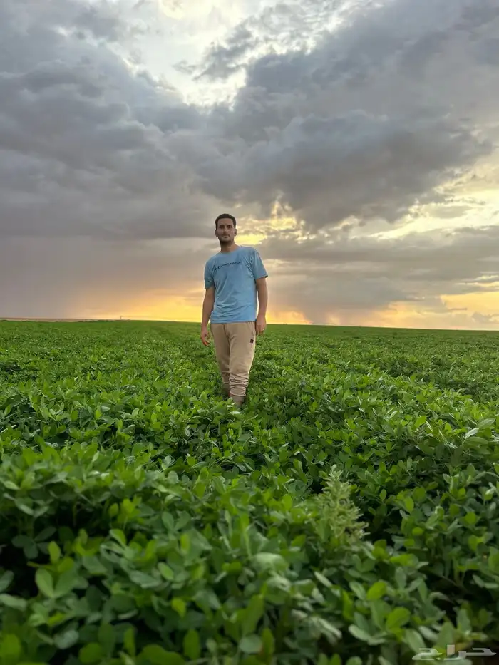 يحي المعلمي تقاطع الستين 17