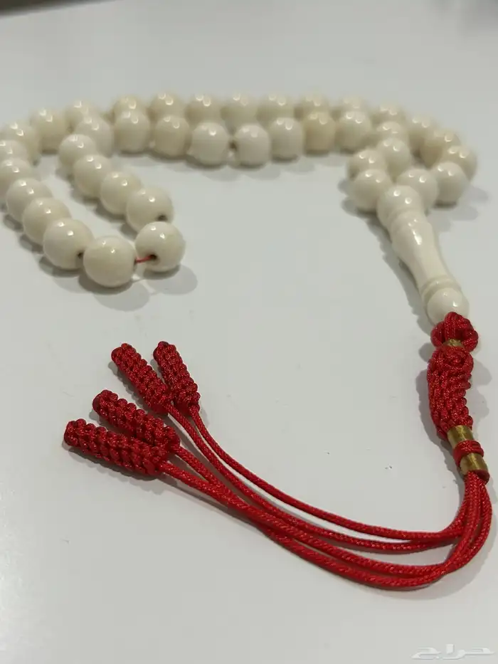 مسباح عظم جمل 1