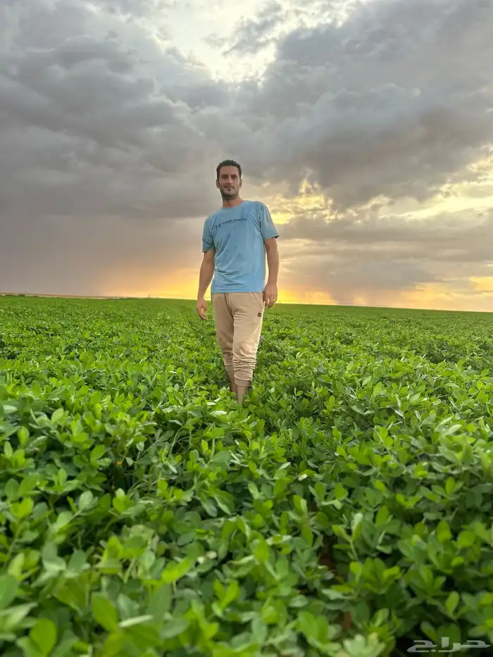 يحي المعلمي تقاطع الستين 16