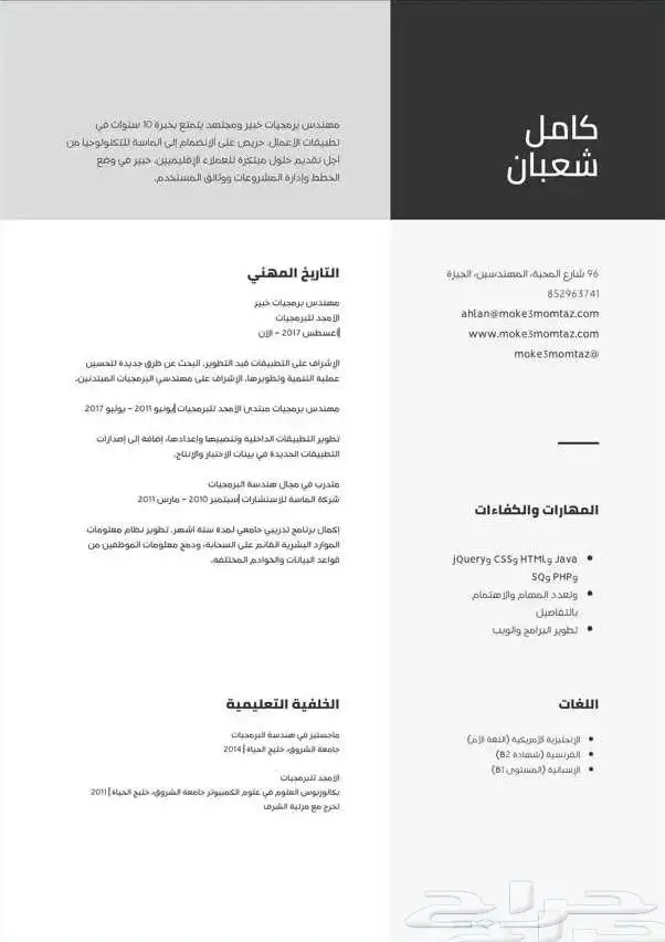 تصميم سيره ذاتيه احترافيه عربي انجليزي ATS 2