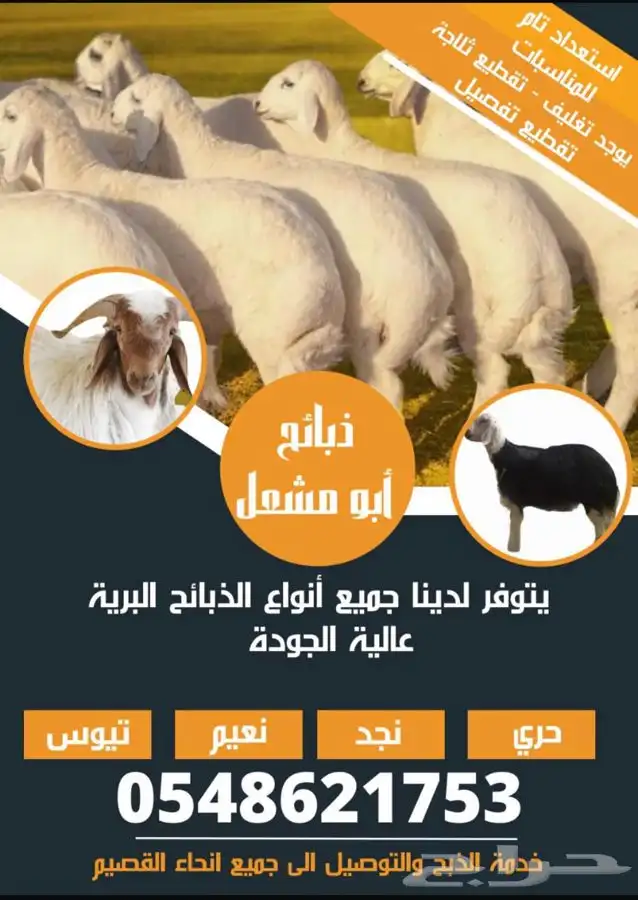 ذبايح الرس 0