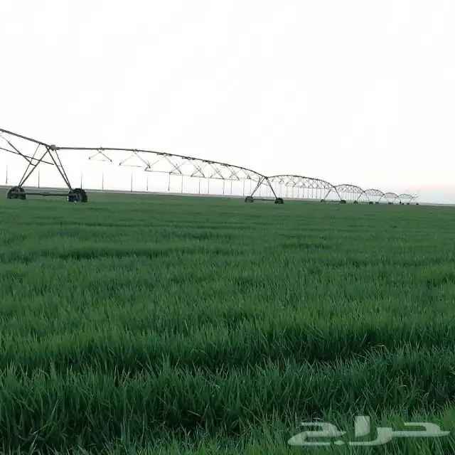 يحي المعلمي تقاطع الستين 18