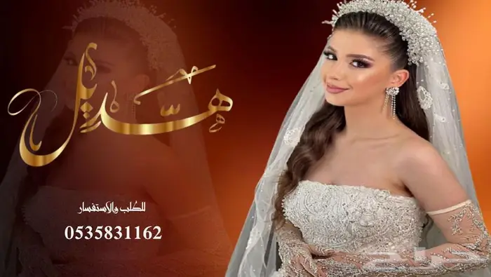 منشد شيلات شاعر جزل 0