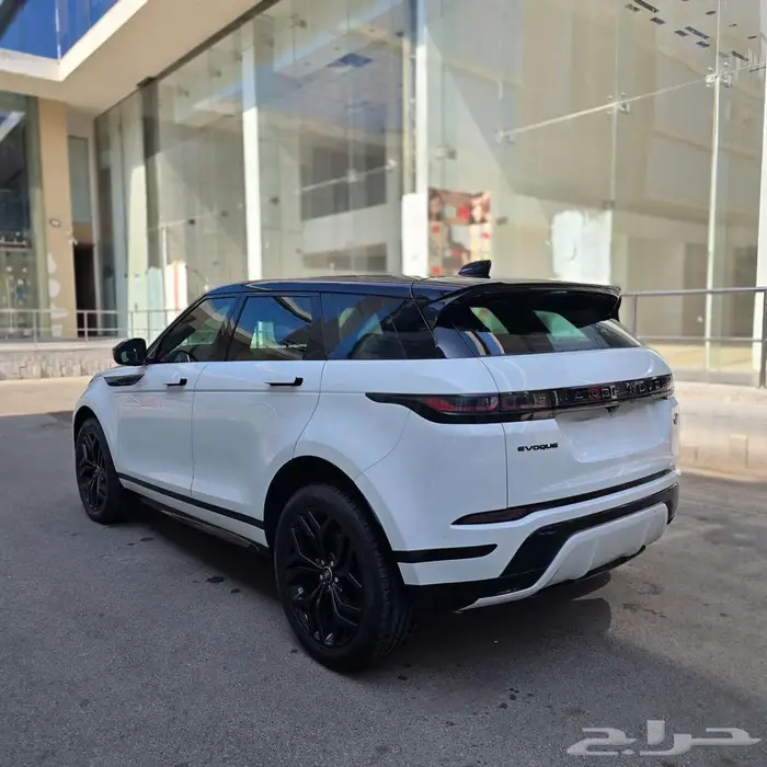 تم البيع 12