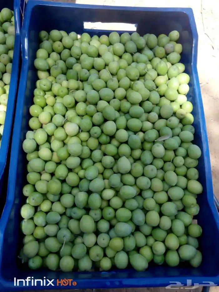 يحي المعلمي تقاطع الستين 28