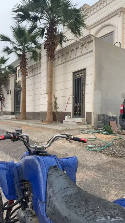 دباب نظيف 0