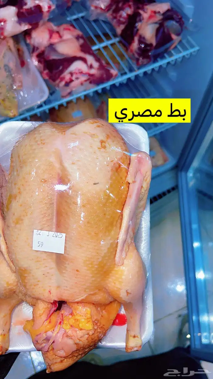 دواجن 4