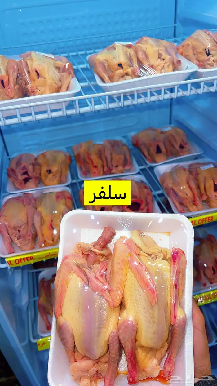 دواجن 5
