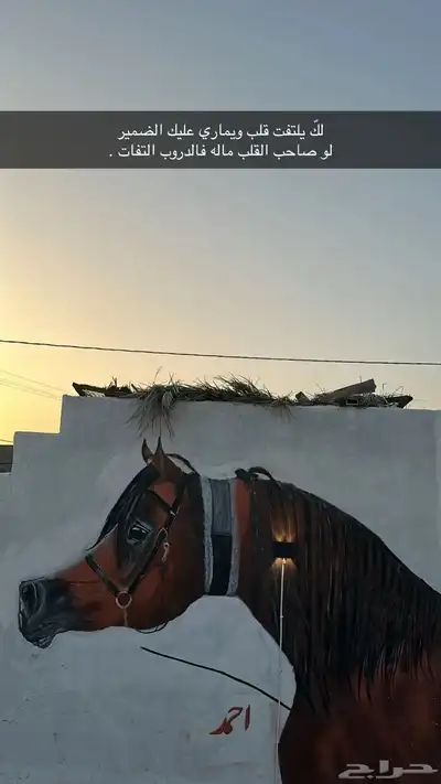 ايوا خيل وعسف وتسمين 1
