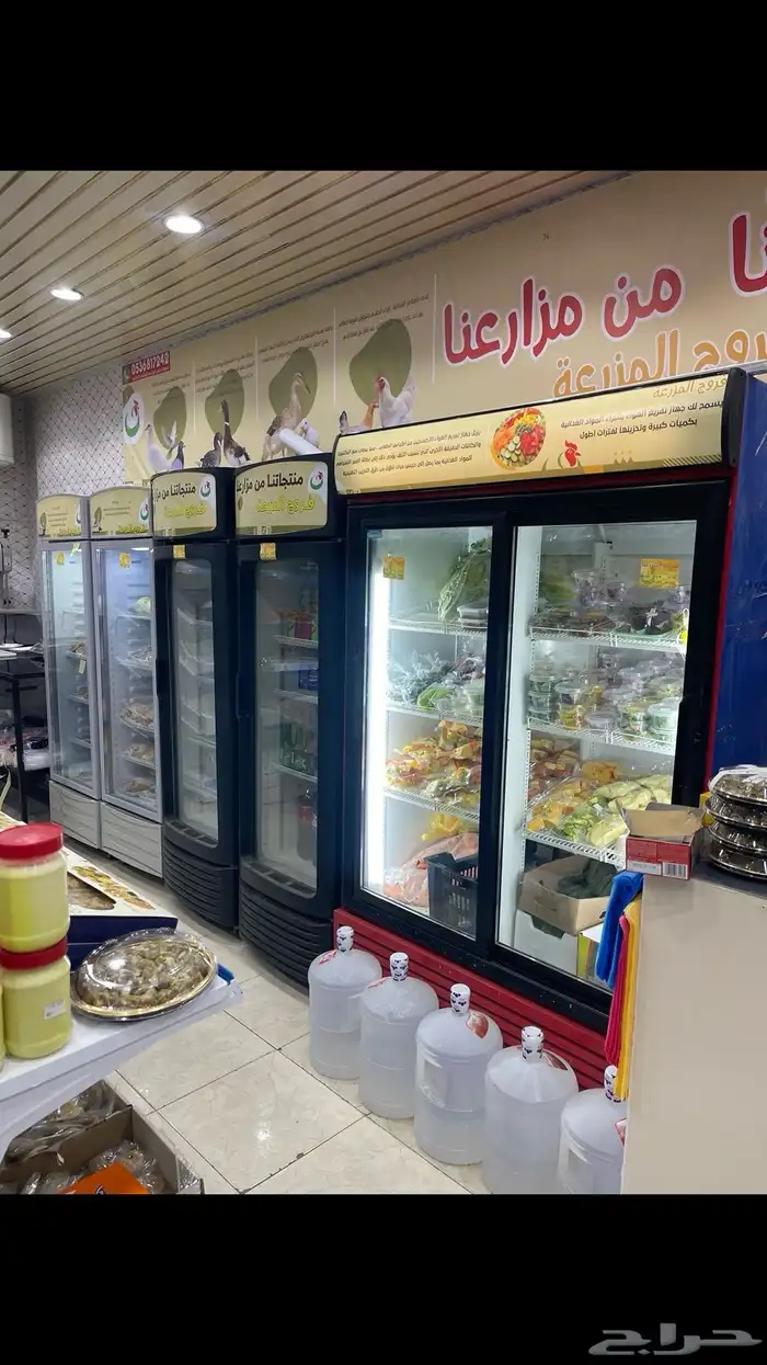 دواجن 6