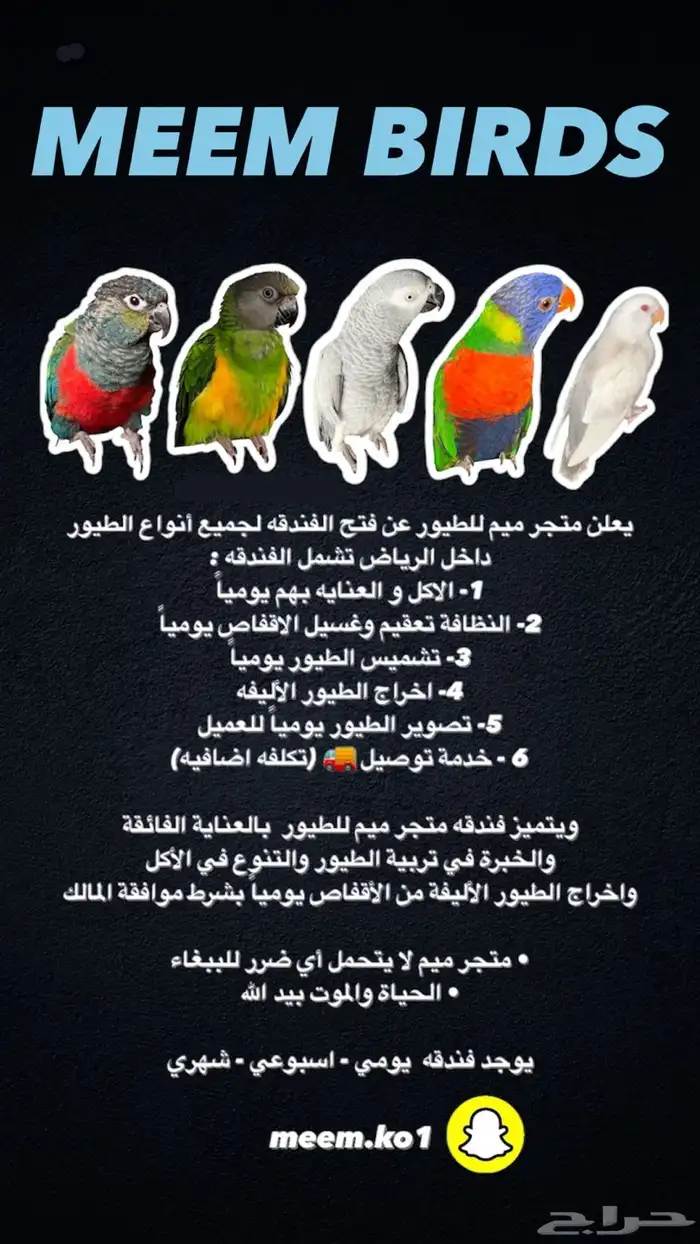 فندقه طيور 0