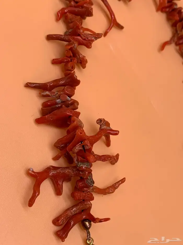 مرجان تونسي طبيعي اصلي 1