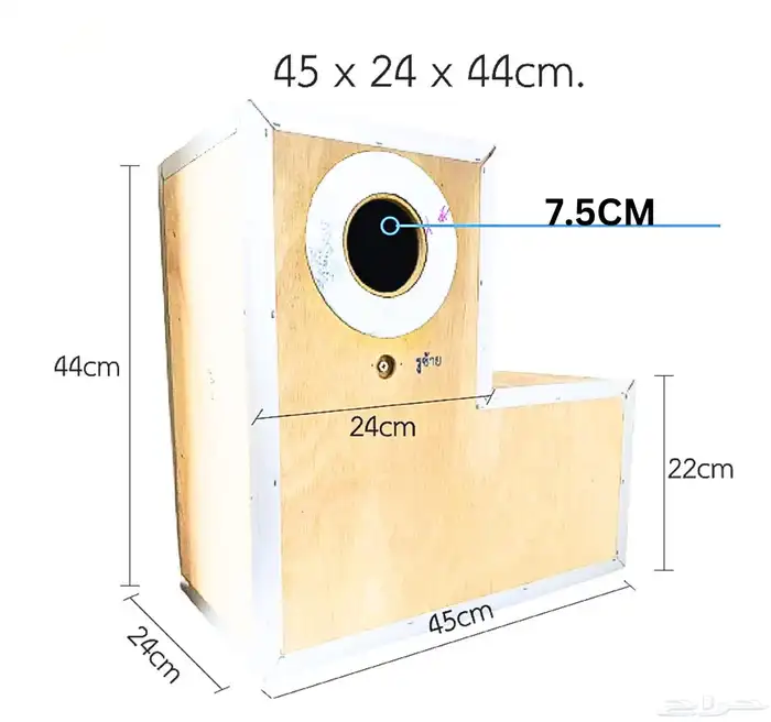 بياضة كاسكو 2