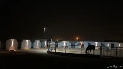 ايوا خيل وعسف وتسمين 7