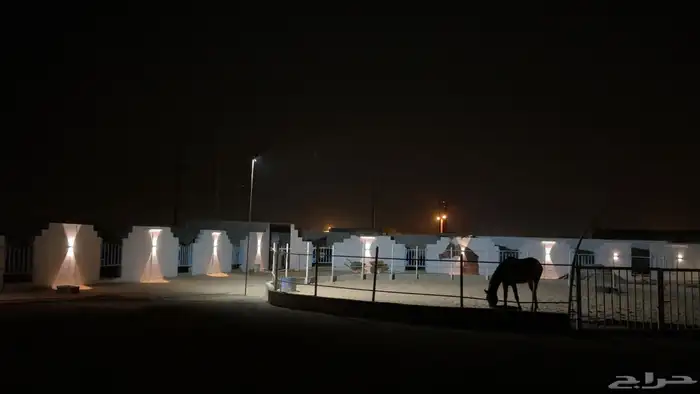 ايوا خيل وعسف وتسمين 7